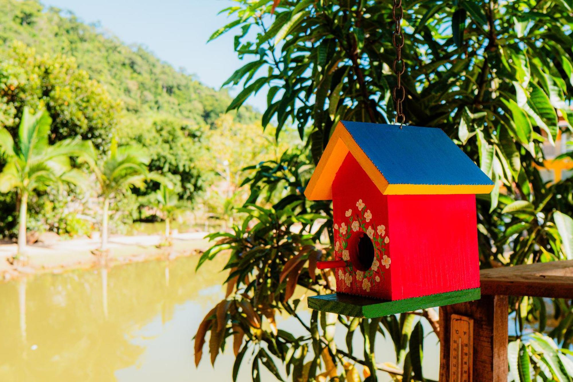 Hotel Pousada Brilho Do Sol Serra Negra  Zewnętrze zdjęcie